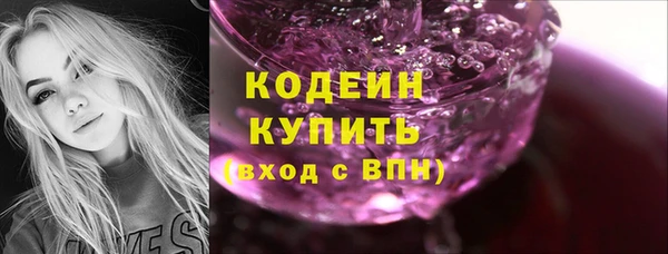 стаф Бородино