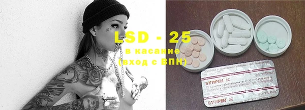 стаф Бородино