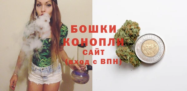 стаф Бородино