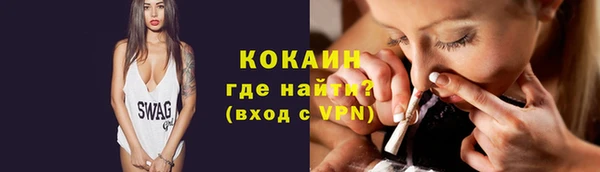стаф Бородино