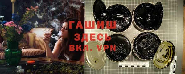 стаф Бородино