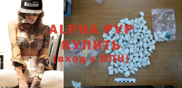 стаф Бородино