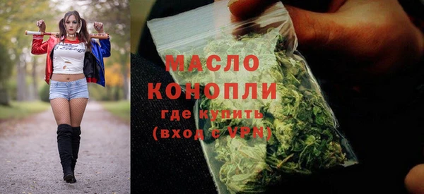 стаф Бородино