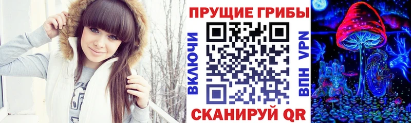 продажа наркотиков  Бронницы  Псилоцибиновые грибы Magic Shrooms 